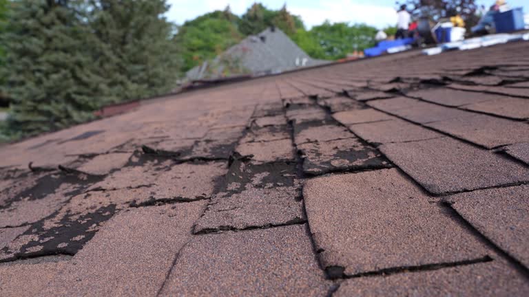 Best Roof Installation  in Little Canada, MN