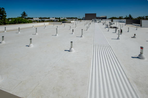 Best Roof Leak Repair  in Little Canada, MN