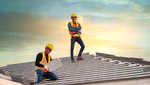 Best Roof Moss and Algae Removal  in Little Canada, MN
